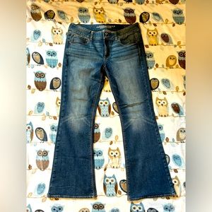 American Eagle Outfitters Artist Jean